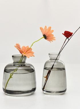 北欧ins卡口大肚瓶简约创意玻璃花瓶香薰瓶子客厅摆件可水培花器