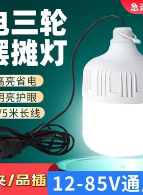12V夜市摆地摊灯36V60V电瓶灯节能电动车专用低压球泡直流led灯泡