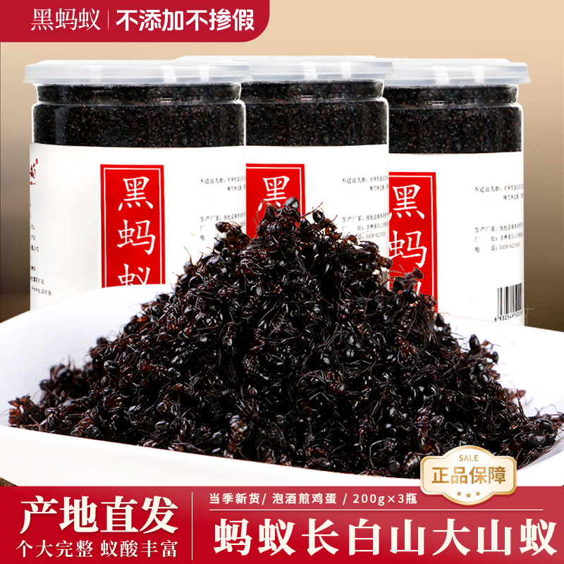黑蚂蚁长白山大山蚁正品600g野食用大黑蚂蚁干生拟黑多刺蚁泡酒料