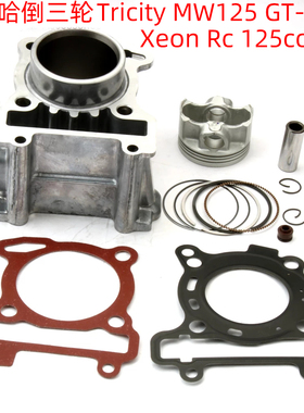 适用雅马哈倒三轮Tricity MW125 GT-125 Xeon Rc 125cc 中缸套缸