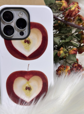 圣诞苹果#冬日温暖ins风韩国菲林二合一手机壳爱心iPhone三星保护