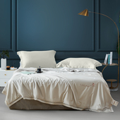 图美寝饰天然野蚕丝夏凉被冰丝凉感夏季 薄被子可水洗机洗空调被