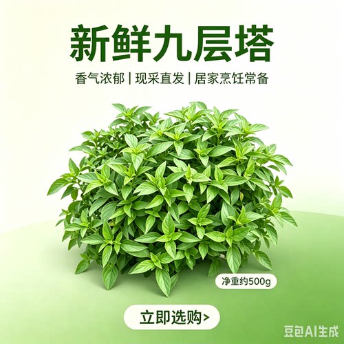 新鲜九层塔食用罗勒叶潮汕金不换三杯鸡泰式打抛饭傣味冬阴功香料