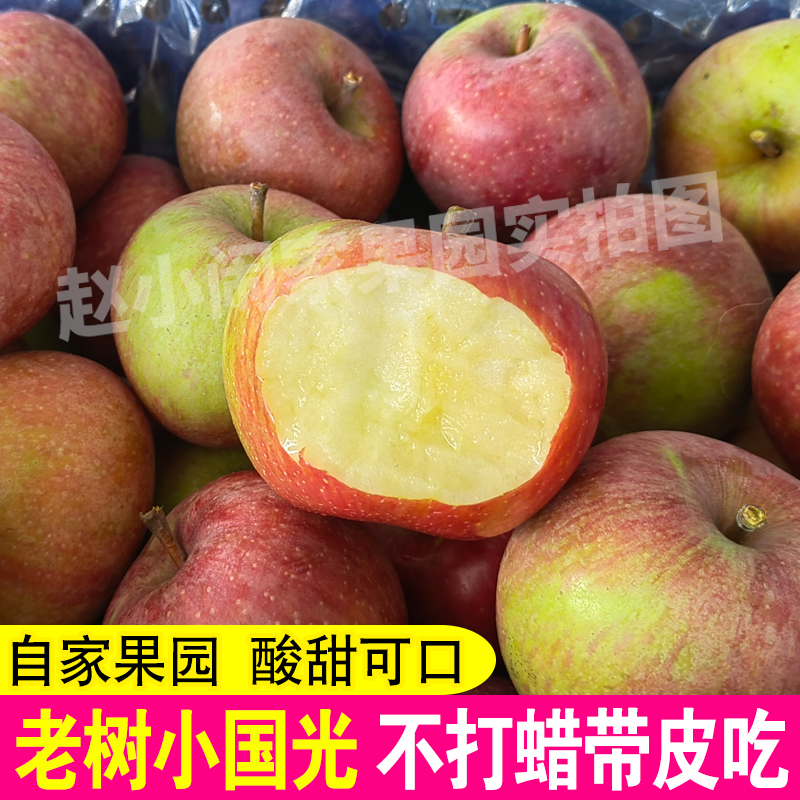 小国光酸甜脆孕妇老品种苹果