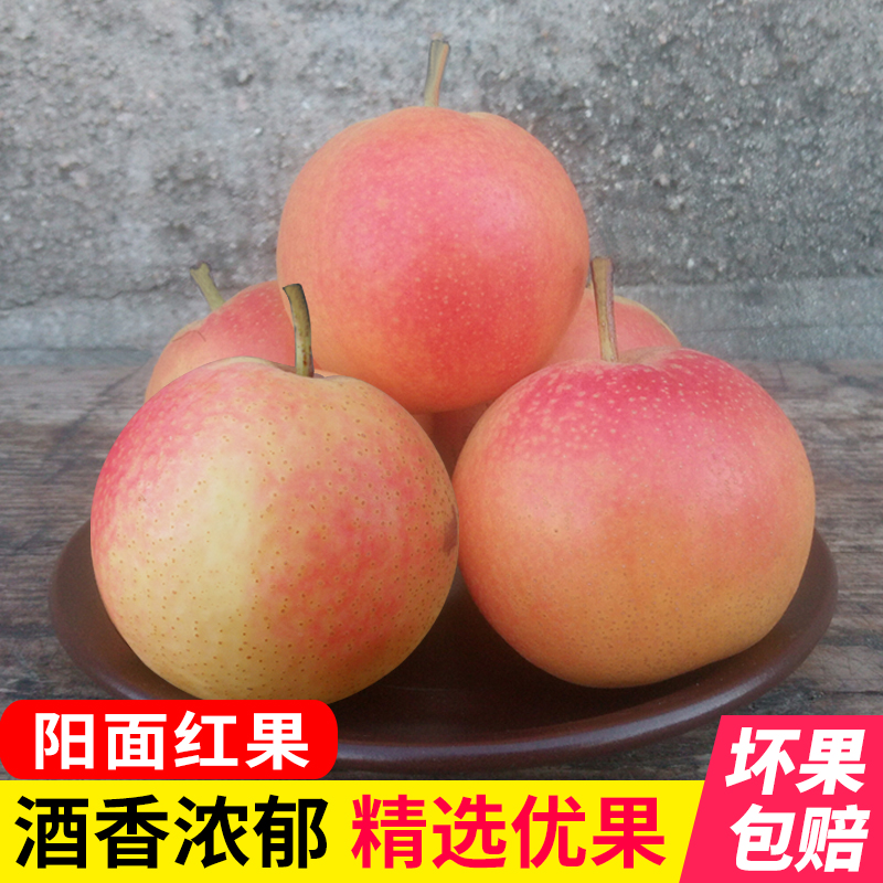 鞍山梨鞍山南果梨正宗新鲜水果