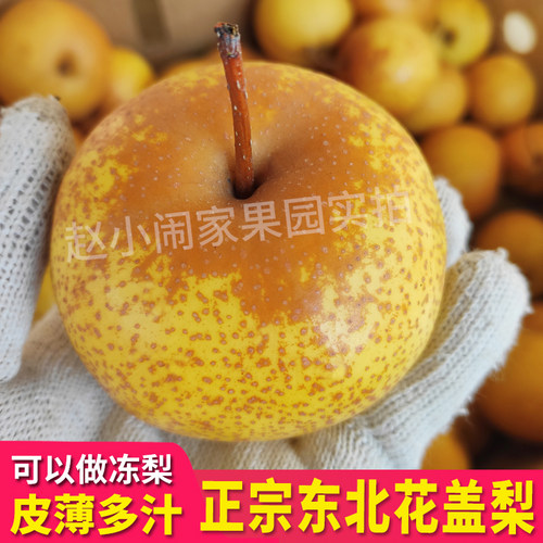 新鲜水果东北特产花盖梨冻梨软梨