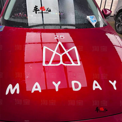 适用特斯拉3Y个性Mayd机