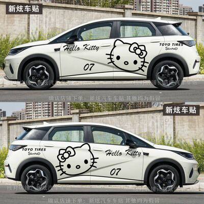 适用比亚迪海豚车贴小红