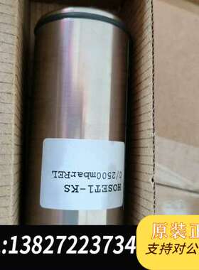 HOPPE 压载探头Hoset1--kS  0/2500mb