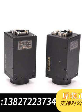 全新原装GEViCAM GP-2360 黑白C工业 ICX4