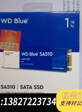 WD Blue SA510 1T固态M2 sata，全新