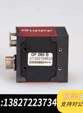 全新原装AVT GUPPY GF080B 单色 C 工业 二
