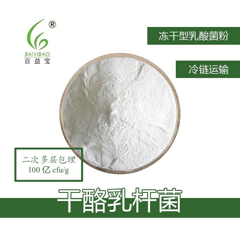 干酪乳杆菌 活性乳酸菌冻干粉 益生菌粉剂散装原料100-1000亿