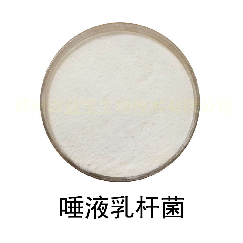 唾液乳杆菌食品级乳酸菌冻干粉活性实验检测益生菌粉剂原料1000亿