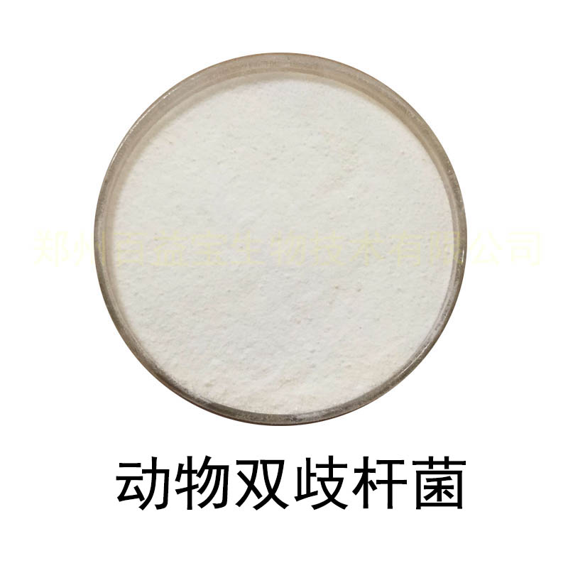 食品级乳酸菌冻干粉 动物双歧杆菌 活性实验调理益生菌原料1000亿