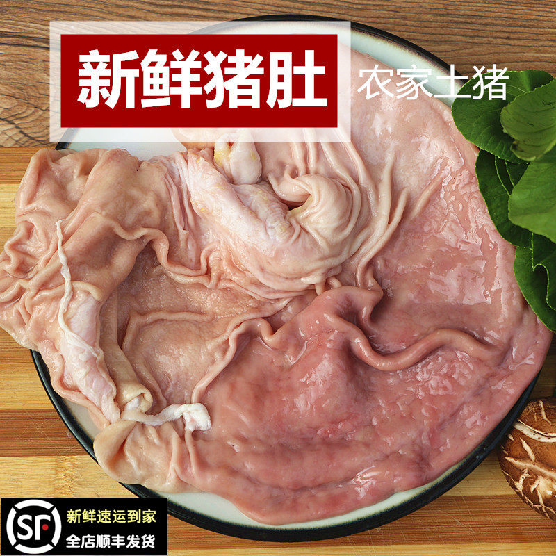 新鲜猪肚按个销售农家