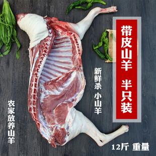带皮山羊半只羊全羊整羊新鲜现杀羊肉羊排羊前腿羊后腿脖子羊蝎子