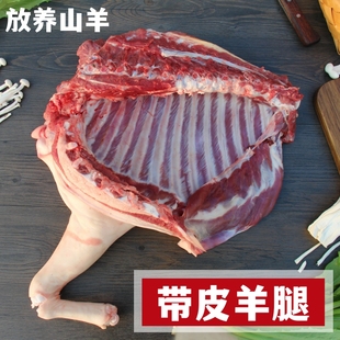 带皮羊腿 新鲜羊腿6斤新鲜羊肉现杀羊腿带皮羊前腿羊后腿带皮羊排