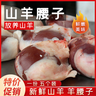 新鲜山羊腰 山羊肾原油羊腰子另有羊肉羊杂羊蛋生羊鞭 羊内腰5个装