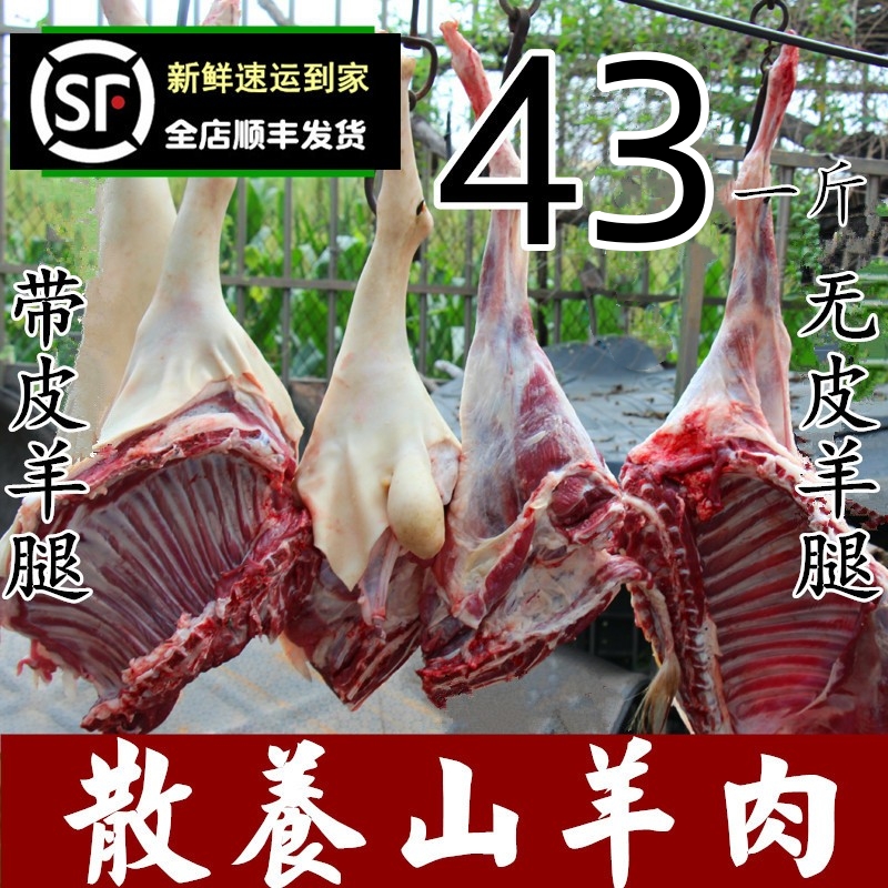 新鲜羊肉生羊肉500g农家散养山羊肉 带皮羊肉 羊排羊腿烧烤羊肉串