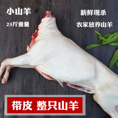 带皮整只羊25斤现杀散养山羊肉