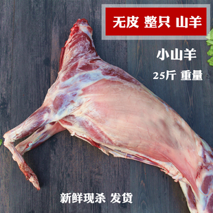 新鲜羊肉无皮整只山羊25斤整羊全羊放养小山羊羊排羊腿蝎子无羊杂