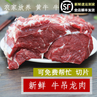 农家散养黄牛肉里脊肋条可切片火锅烧烤 新鲜牛吊龙肉500克生牛肉