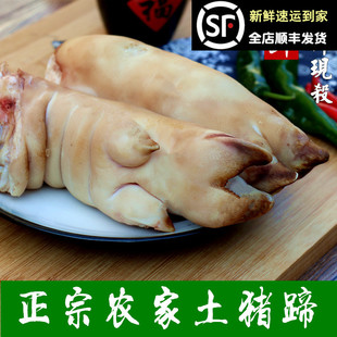新鲜生土猪蹄子 猪脚 猪膀 正宗散养土猪蹄子 另有新鲜土猪肉