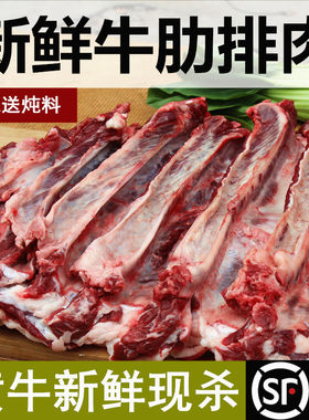 新鲜牛肉500g放养现杀肋条五花