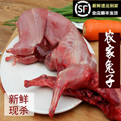 新鲜兔肉农家散养现杀整只带头