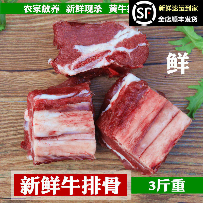 新鲜牛排骨 牛肋条牛肋排3斤放养黄牛仔骨仔排现杀生牛肉牛腩牛尾