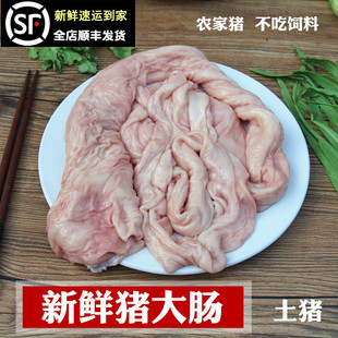 新鲜猪大肠 生肠子 猪肠子农家土猪猪下水猪内脏大肠小肠另有猪肚