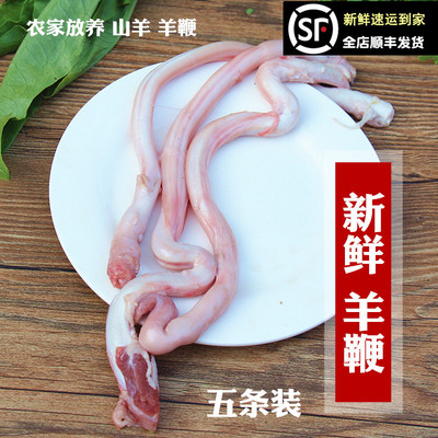 新鲜羊腰子原油无油羊鞭羊宝羊蛋