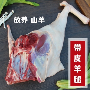 带皮羊腿 羊后腿6斤 新鲜羊肉 散养山羊 现杀羊腿 羊前腿带皮羊排