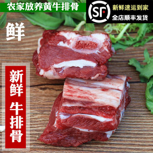 牛小排 生牛肉 黄牛排骨 新鲜牛排骨 牛仔骨 牛肋排500g 牛肋条肉