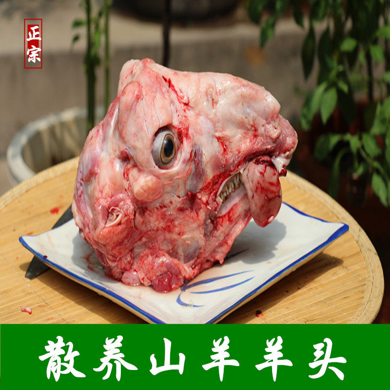 新鲜山羊头 无皮羊头 生羊头肉 另有新鲜羊肉 羊杂 羊内脏 羊下水