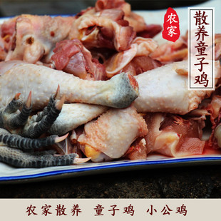 正宗农家散养土鸡 小公鸡 农村自养 童子鸡 走地鸡 柴鸡子 鸡肉