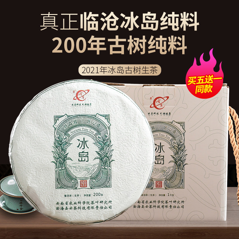 顺丰包邮云南茶科所云茶科技2021冰岛普洱生茶古树饼茶临沧生普洱