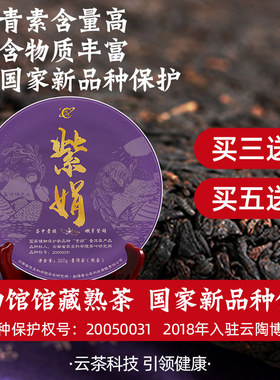 2024年云茶科技普洱茶熟茶饼母本紫娟熟茶云南茶科所研制357g紫鹃