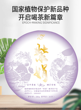 云南西双版纳勐海云茶科技茶厂饼茶2025母本紫娟普洱茶生茶饼200g