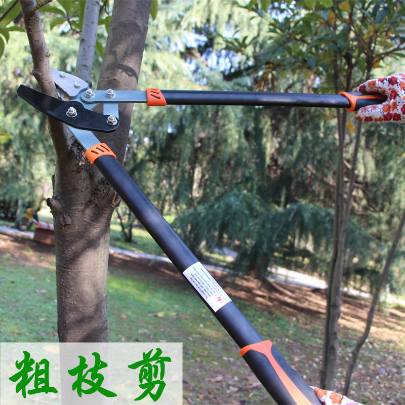 修枝剪刀树枝剪果树剪园艺剪刀园林伸缩大剪刀粗枝剪修枝工具包邮_虎窝淘