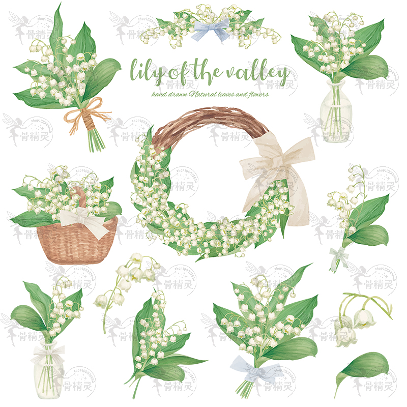 清新手绘水彩铃兰花花卉植物花环花束边框元素AI矢量PNG设计素材