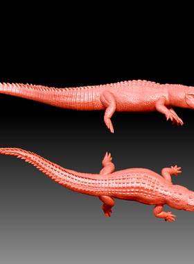 Y707精度超高雕刻图三维立体STL3D模型扫描的鳄鱼模型，圆雕图