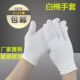 青海摇纯棉礼仪白手套文玩盘珠布工作男女干活劳保耐磨汗布加长
