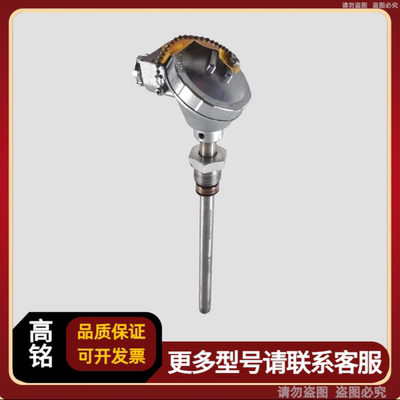 DaeYang温度传感器 TTR-SD 600℃