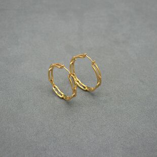 圈圈金色耳环真金高级感耳钉镀新款爆款耳环独特素铜大女轻奢2025
