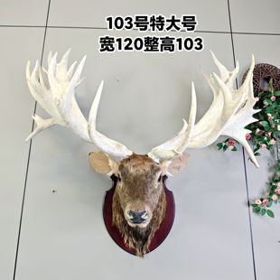特大号鹿头壁挂鹿头厂家直销动物装 饰 饰客厅酒吧办公室壁炉家居装