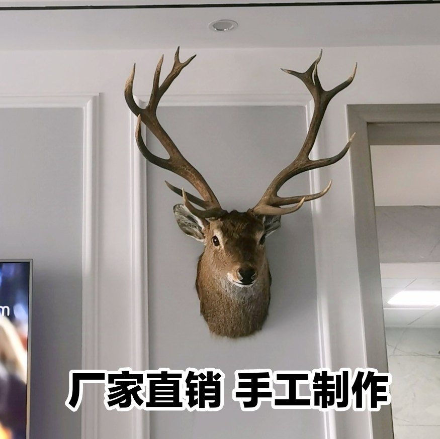 真鹿头真鹿角正品壁挂鹿真皮毛真鹿角鹿角多款型号所拍即所得装饰