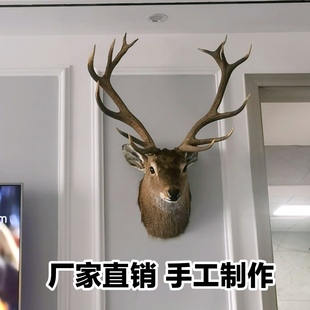 饰 型号所拍即所得装 真鹿头真鹿角正品 壁挂鹿真皮毛真鹿角鹿角多款