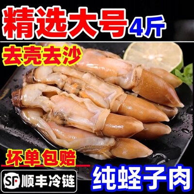 【顺丰到家】蛏王肉大个去壳蛏子肉竹节蛏冷冻蛏王肉现剥冷冻圣肉